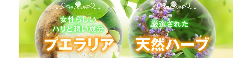 �o�X�g�A�b�v�T�v���E�O���}�[
���T�C�g